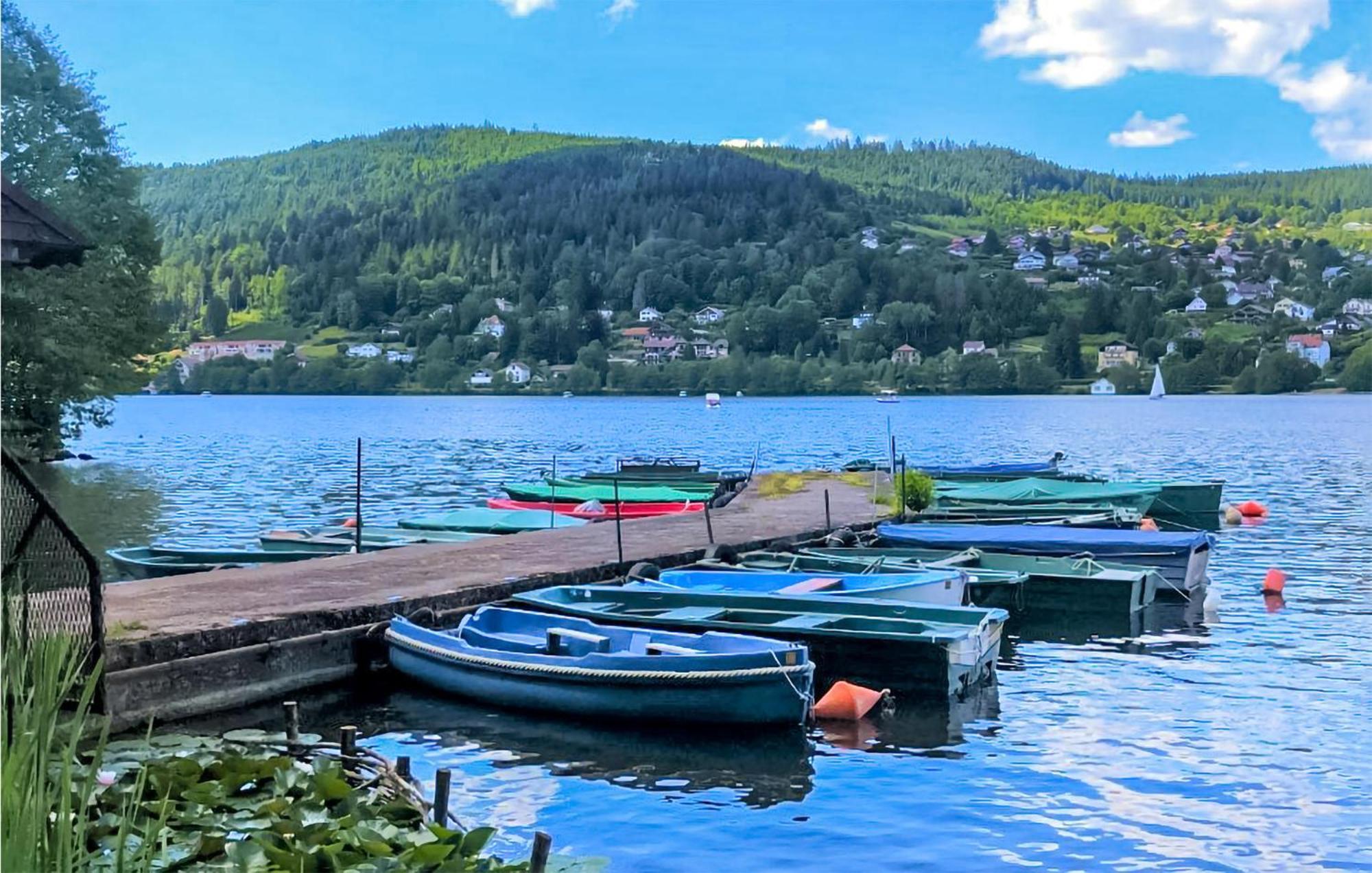 Gorgeous Apartment In Gerardmer With Kitchen Экстерьер фото