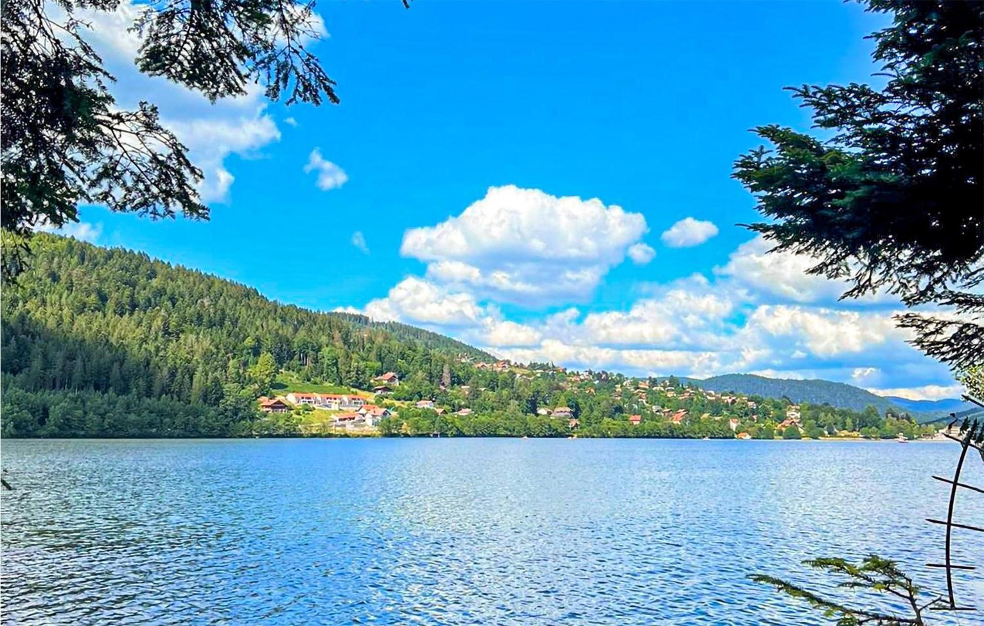 Gorgeous Apartment In Gerardmer With Kitchen Экстерьер фото
